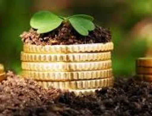 Інвестиції в український  аграрний бізнес у 2017/18 МР зросли на 40%