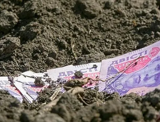 З початку повномасштабного вторгнення в купівлю сільськогосподарської землі інвестували 9,5 млрд грн