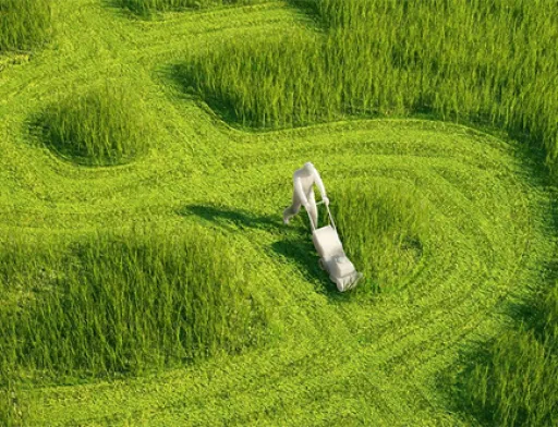 Створена платформа зі сталого агробізнесу – Sustainable Agribusiness Forum (SAF Україна)