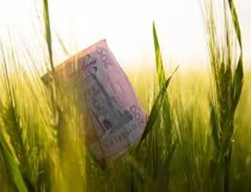 На AgroInvestDay розкажуть про актуальні тенденції та ризики інвестування в агросектор України