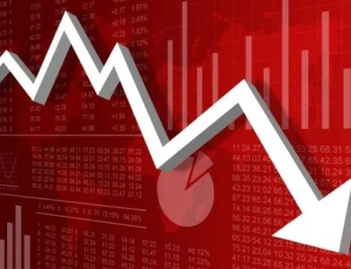 У 2020 році в агропродовольчих секторах економіки відбулася інвестиційна криза, глибина якої співставна з 2009 роком, — ННЦ