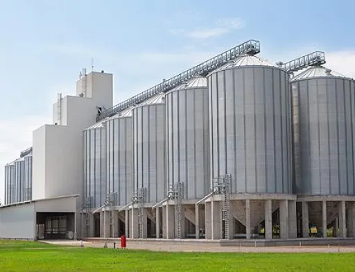 В Україні можуть спростити контроль за зберіганням зерна на елеваторах