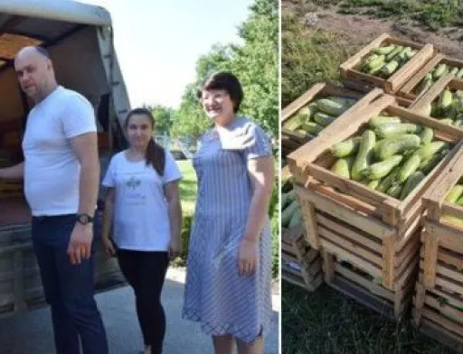На Чигиринщині вирощують овочі для ЗСУ