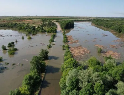 Через затоплення Україна може недорахуватись декількох мільйонів тонн врожаю