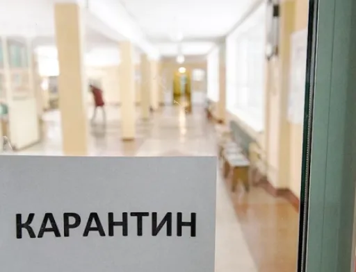 Як агробізнес перебудовує роботу в умовах карантину