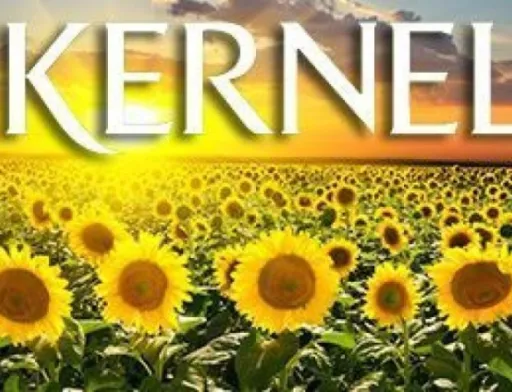 У «Кернел» планують завершення двох масштабних інвестпроєктів