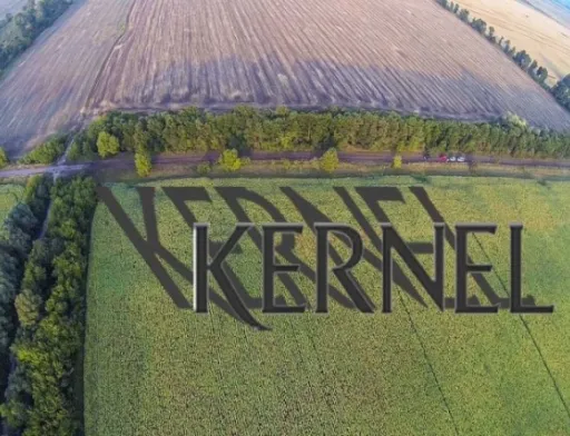 "Кернел" направляє 55 млн грн на закупівлю експрес-тестів для діагностики коронавірусу