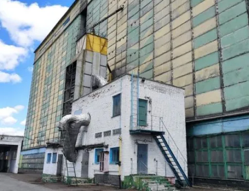 Як приватизація врятує державні комбінати хлібопродуктів