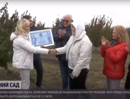 Найбільший кизиловий сад Європи розташований в Україні