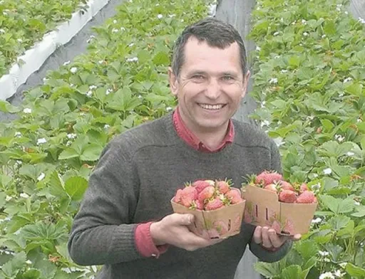 Побачив, як заробляють за кордоном, і вирішив спробувати, — фермер