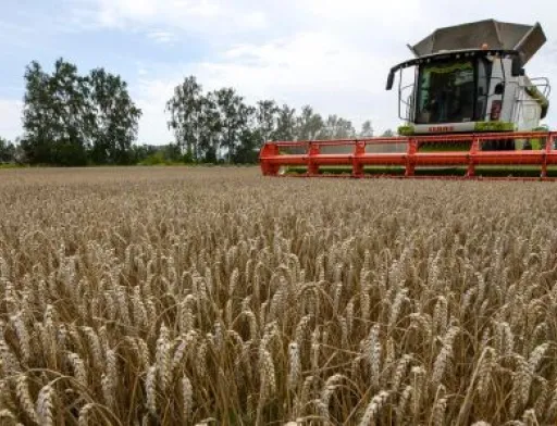 У проблемах європейських фермерів винна не Україна, – Микола Сольський