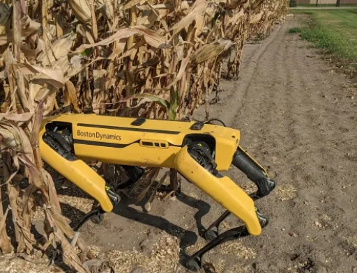 Компанія Corteva Agriscience одна з перших в світі використовує маневрених мобільних роботів для пересування між рядами посівів