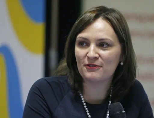Найбільша проблема на сьогодні в Україні - відсутність конкурентних інвестиційних пропозицій, які достатньо якісно пропрацьованних проектів, які можна запропонувати інвесторам