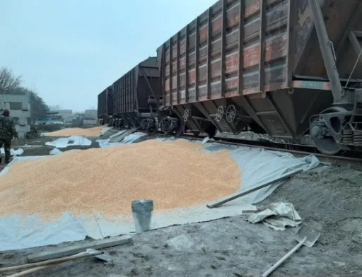 У Миколаєві затримали викрадачів 20 тонн кукурудзи