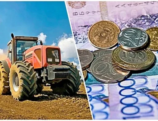 Аграрії сьогодні, як ніколи, потребують державної підтримки для збирання нового врожаю