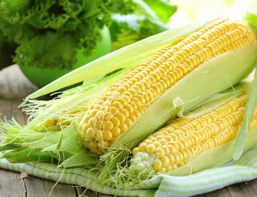 Два основных направления для экспорта украинской кукурузы в текущем маркетинговом году - это Европейский Союз и Китай