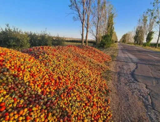 В Молдові на узбіччях доріг лежать купи яблук