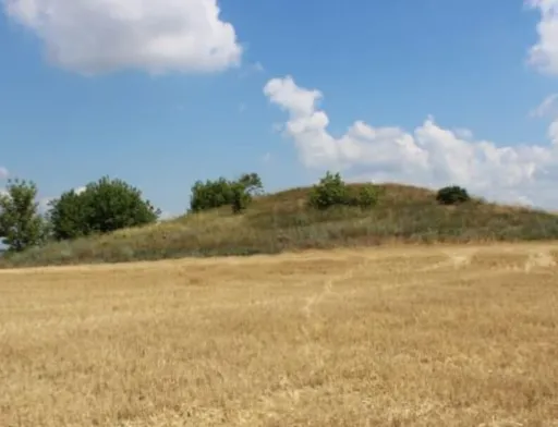 На Нікопольщині трактористу «світить» строк за пошкодження об’єктів культурної спадщини
