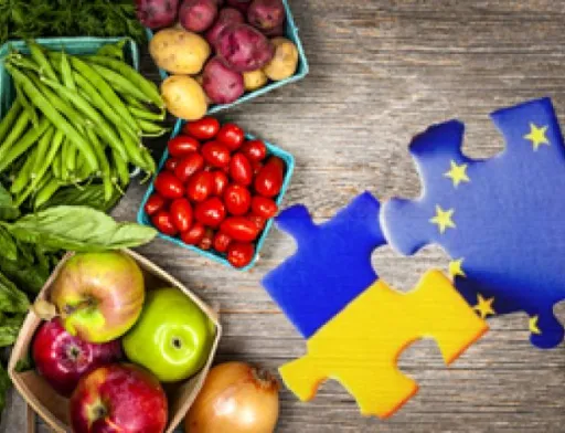 На безмитних квотах Євросоюзу заробляють насамперед великі виробники. Приміром, квота на безмитний експорт меду становить 5 тис. т, цього року вона була вичерпана вже у перший тиждень січня. Її вибирають великі виробники. Жоден малий виробник не має доступу до цих квот