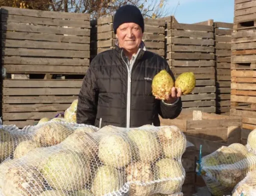 Фермер із Херсонщини проміняв картоплю на селеру