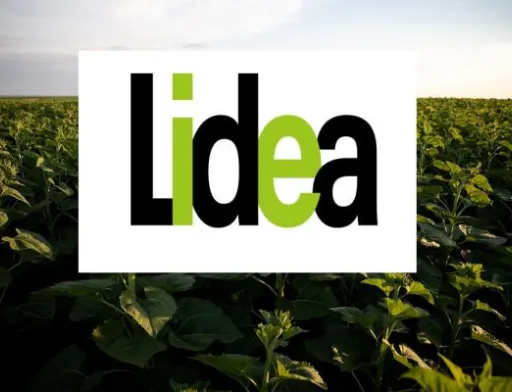 Lidea виводить на глобальний ринок два комерційні бренди: Lidea та Caussade Semences Pro