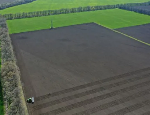 Lidea Seeds засіває та доглядає ділянки гібридизації насіння