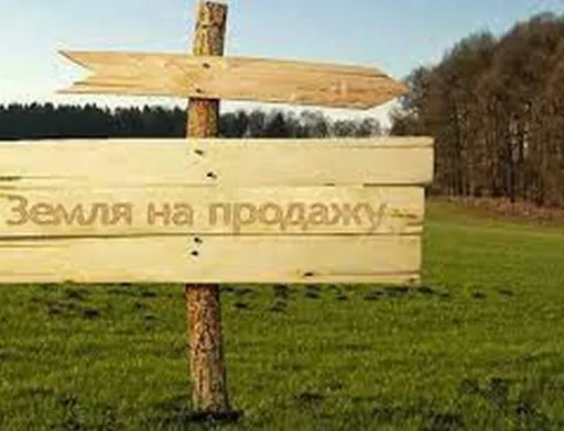 Ліміт на купівлю землі потрібно залишити до кінця війни, – Денис Марчук