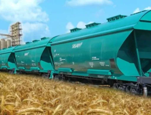 Логістика робить вирощування зерна збитковим, — Дмитро Ливч
