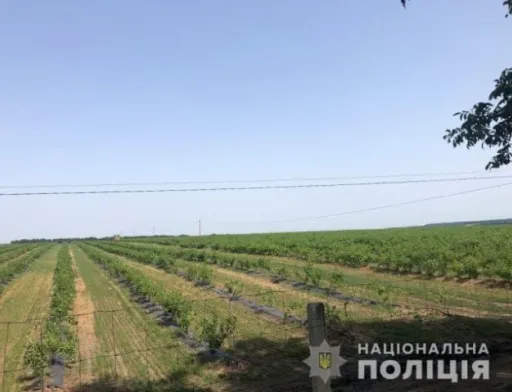 У Черкаській області фермери напали на інспекторів праці