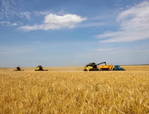 На Львівщині намолотили перший мільйон тонн зерна
