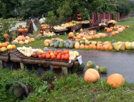 Фермер зі Львівщини продає свою продукцію «на довірі»
