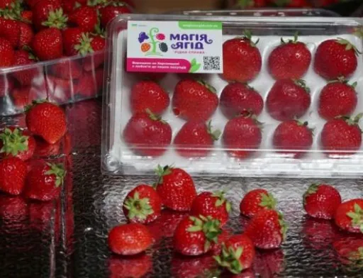 Херсонські виробники продають ягоди через інтернет