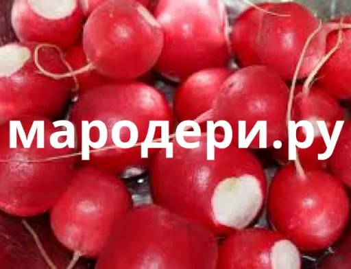 В окупованому Криму продають овочі, вкрадені у запорізьких та херсонських фермерів