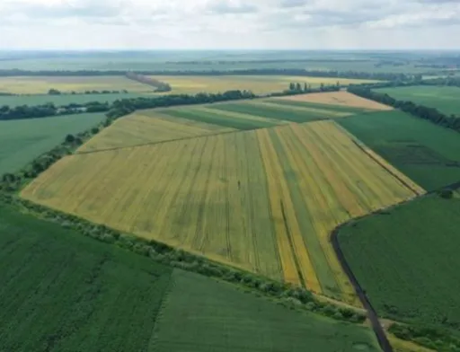 Кабмін схвалив пілотний проєкт з масової оцінки земель