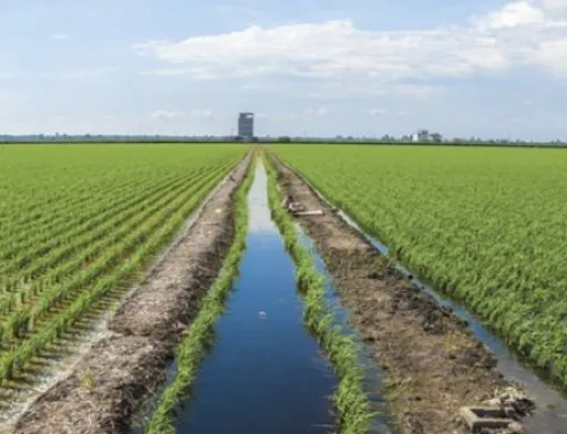На Черкащині створюють першу в Україні організацію водокористувачів