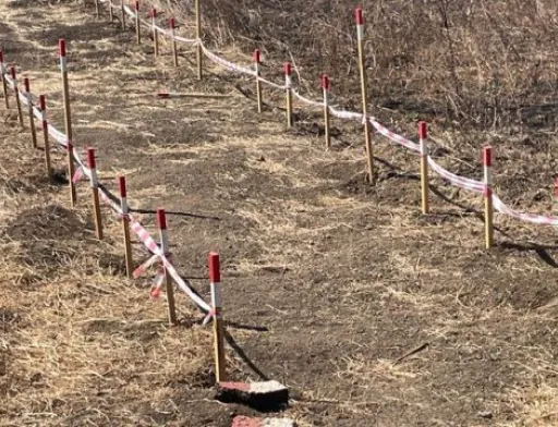 Власники паїв на Миколаївщині чекають на виплати за оренду за минулий рік