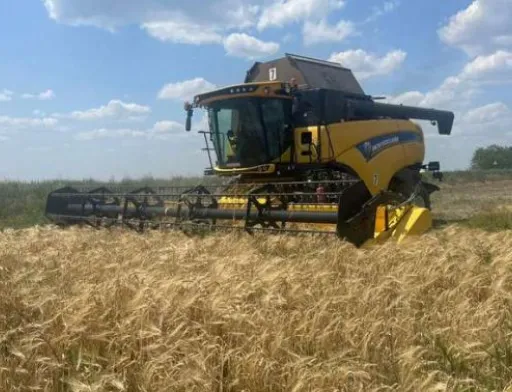 На Миколаївщині очікують кращий врожай зернових, ніж торік