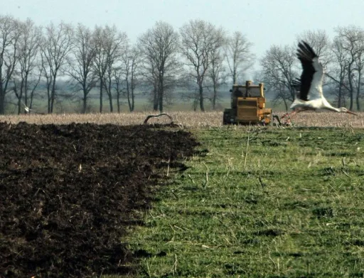 У період між 1990 і 2000 роками кількість внесених у ґрунт органічних добрив зменшилася у 12 разів - з 8,6 до 0,7 т/га