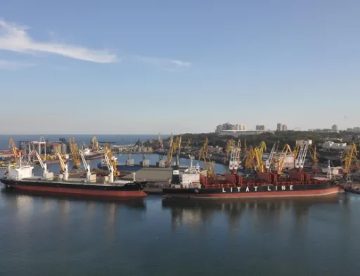 Агросектор зробив найбільший внесок у рекордну перевалку вантажів морпортами України