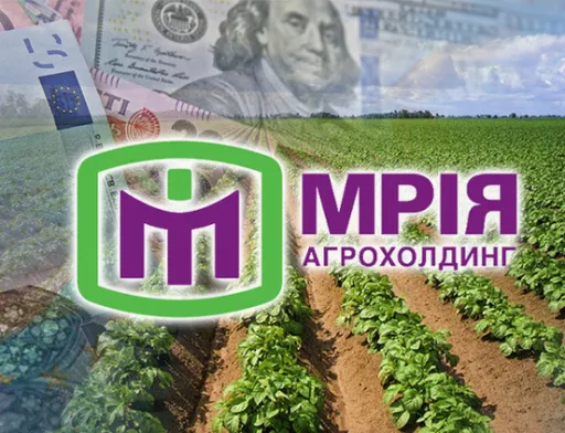 Предыдущими собственниками компании в момент дефолта были незаконно выведены несколько десятков юридических лиц, на которые было оформлено более 1000 единиц техники и договоры аренды около 60 тыс. га