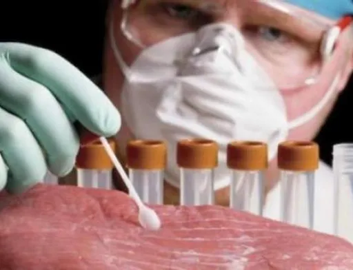 Леонардо Ді Капріо інвестував у стартапи Mosa Meat і Aleph Farms зі штучного вирощування м'яса