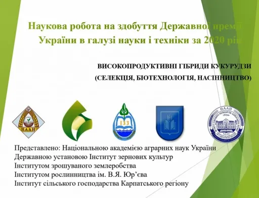Наукова праця щодо селекції високопродуктивних гібридів кукурудзи номінована на державну премію