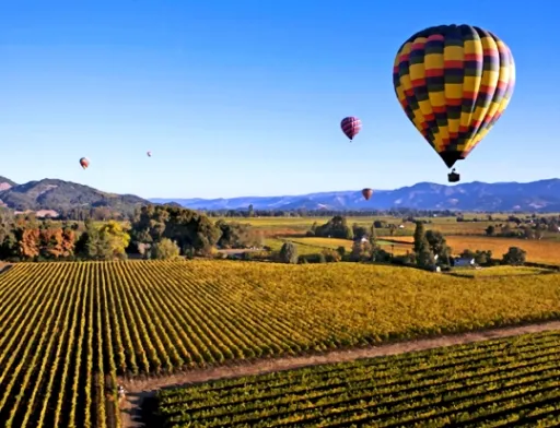 Один из наиболее успешных кластеров в мире - Napa Valley, винная столиця США, которая объединяет более 400 винных погребов, 105 отелей и 125 ресторанов