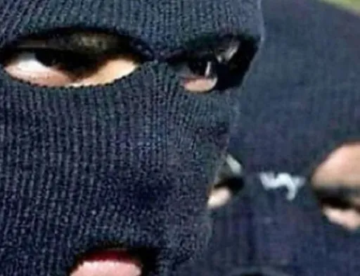 Двох зловмисників, які напали на фермера, ловили всім селом