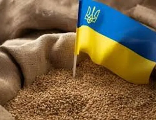 НАТО та Україна обговорять питання експорту української агропродукції