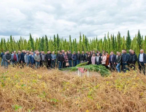 Науковці НААН презентували унікальний сорт технічних конопель «Софія»