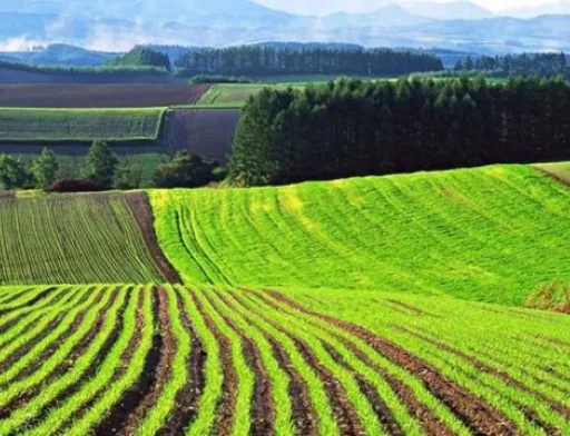 Найдорожча земля — в Івано-Франківській області