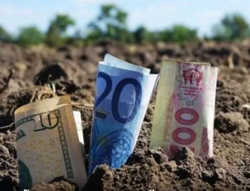 У січні найдорожча земля була в Івано-Франківській області
