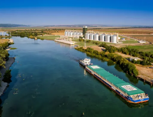 «Нібулон» збільшив площу під озимими на 10%