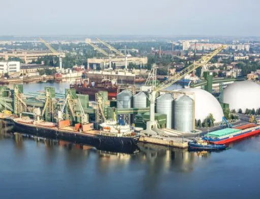 «Нібулон» посіяв на 40% менше пшениці, ніж минулого року